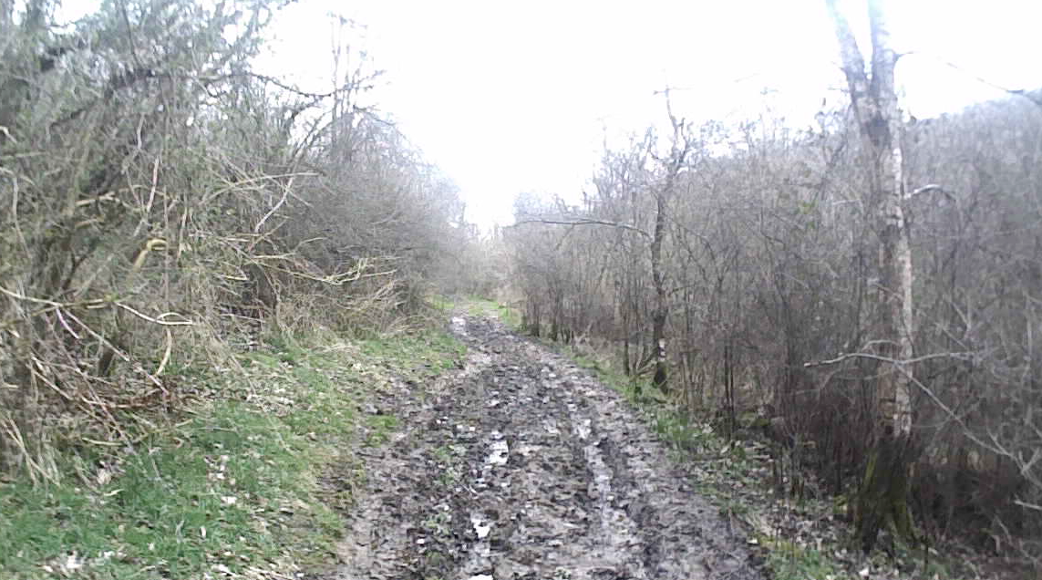 34 muddy path