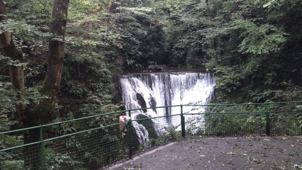 05 waterfall